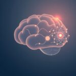 Błyskawiczne decyzje w dialogu: Neurobiologia spontanicznych reakcji