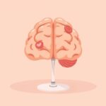 Czy alkohol zawsze niszczy komórki mózgowe? Fakty o wpływie alkoholu