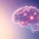 Czy mózg dzieci jest bardziej elastyczny niż dorosłych? Neuroplastyczność w rozwoju i dorosłości