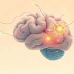 Czy mózg może „zapomnieć” złe nawyki na zawsze?