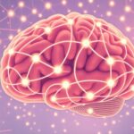 Czy mózg przestaje się rozwijać po 25. roku życia? Obalamy mity