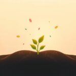 Czy można „nauczyć się” optymizmu w jeden dzień?