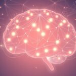 Czy naprawdę używamy tylko 10% mózgu? Obalamy popularny mit