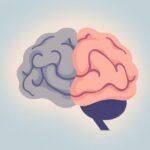 Dlaczego mózg reaguje silniej na negatywne informacje?