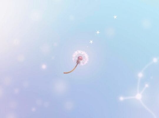Delikatny dmuchawiec unosi się w pastelowym tle, symbolizując rozwój osobisty.