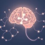 Dopamina i uzależnienia: neurobiologiczne mechanizmy nałogu