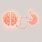 Flora jelitowa a stres: nauka o połączeniu mózgu i jelit