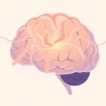 Glukoza i mózg: paliwo dla sprawności poznawczej