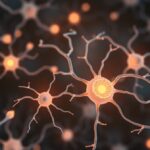 Glutaminian i jego rola w procesach uczenia się: perspektywa neurologiczna