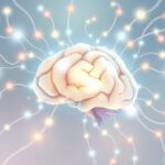 Jak chemia mózgu wspiera pamięć o ważnych rozmowach?