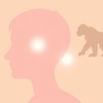 Jak eksperyment z „niewidzialnym szachistą” ujawnił nasze ograniczenia uwagi?