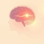 Jak mózg odczuwa empatię podczas bliskich rozmów?