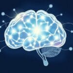 Jak mózg pomaga nam planować nasze działania? Zrozumieć neurobiologię intencji i decyzji.