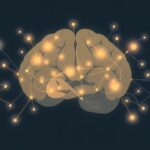 Jak mózg pomaga nam rozumieć, czego chcą inni? Neurobiologiczne podstawy empatii i teorii umysłu