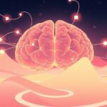 Jak mózg przetwarza informacje podczas ważnych rozmów?