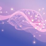 Jak mózg radzi sobie z trudnymi emocjami w rozmowach?