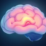 Jak mózg wspiera empatię w trudnych rozmowach z innymi?