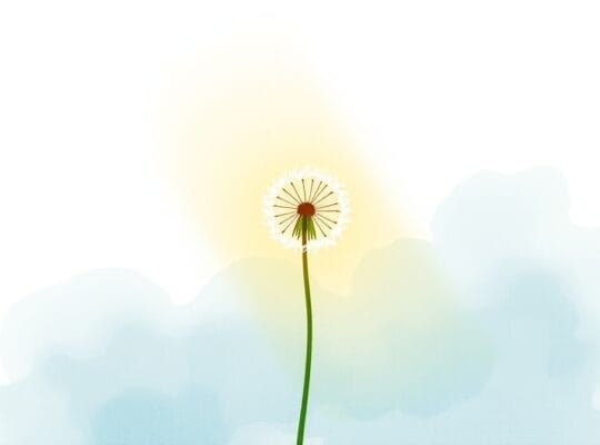 Delikatny dmuchawiec oświetlony promieniem, symbol nadziei i wzrostu.