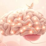 Jak układ limbiczny reguluje nasze emocje?