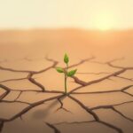 Kiedy życie boli. Jak radzić sobie z poczuciem niesprawiedliwości?