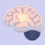 Kora przedczołowa: centralny ośrodek kontroli impulsów