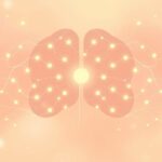 Kora przedczołowa: centrum dowodzenia naszym planowaniem