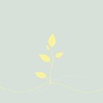 Magnez a lęk: nierozłączna zależność