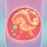 Mikrobiom jelitowy a nasze emocje: głębokie powiązania