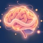 Mózg w objęciach radości: Neurologia więzi międzyludzkich