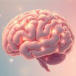 Mózg w obliczu chronicznego stresu: jak przetwarza informacje?