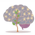 Neuroplastyczność mózgu – odkrycie epokowe w neuronauce