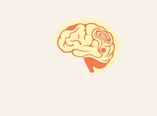 Stylizowana ilustracja: logika vs emocje w głowie podczas decyzji pod presją.