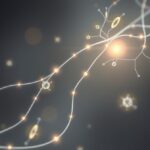 Niedobór witaminy B12 a lęk – historia odkrycia związku