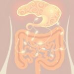 Niewidzialne połączenie: jak flora jelitowa wpływa na zdrowie psychiczne