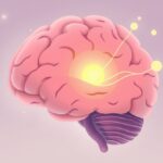 Podwzgórze i emocje: historia odkrycia kluczowej roli