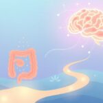 Probiotyki i zdrowie psychiczne: jak mikrobiom jelitowy wpływa na układ nerwowy?