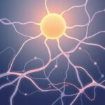 Serotonina i impulsywność: neurobiologiczne podstawy samokontroli