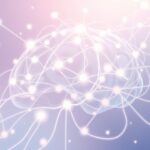 Serotonina i nastrój: głębsze spojrzenie na układ serotoninergiczny