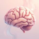 Stres a mózg: zrozumieć wpływ i mechanizmy
