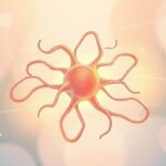 Stres a uszkodzenie neuronów: Jak odkryto tę zależność?