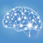 Układ dopaminergiczny: klucz do rozumienia motywacji i zachowania