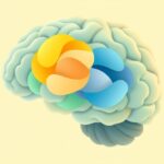 Wielozadaniowość emocjonalna: jak mózg zarządza złożonymi stanami?