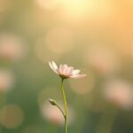 Dlaczego czuję się pusty/a w środku, mimo że wszystko „jest dobrze”?