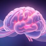 Rola kory słuchowej w rozpoznawaniu emocji w muzyce