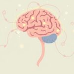 Dlaczego dieta bogata w błonnik wspiera zdrowie mózgu?