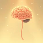 Dlaczego flora jelitowa wpływa na nasze reakcje na stres?