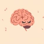 Jak badania nad korą przedczołową wyjaśniły kontrolę emocji?