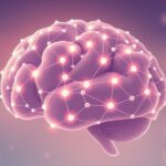 Jak badania nad korą somatosensoryczną wyjaśniły mechanizmy percepcji bólu?