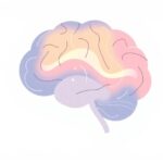 Jak mózg radzi sobie z nadmiarem emocji w relacjach?