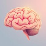 Mózg w obliczu lęku przed rozmową: Neurobiologiczne aspekty nieśmiałości